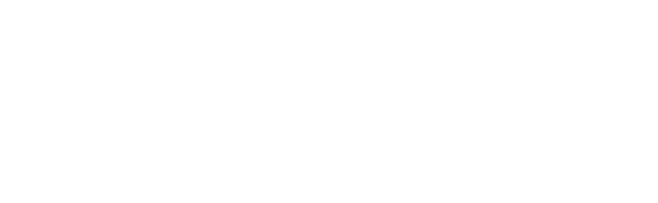 new_wellis_logo_white-1.png